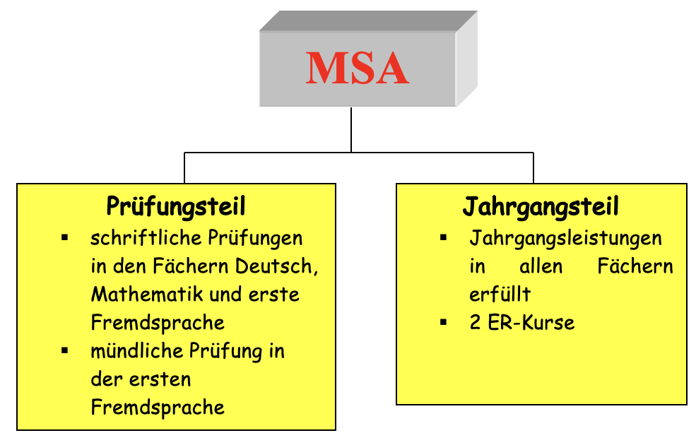 Struktur MSA